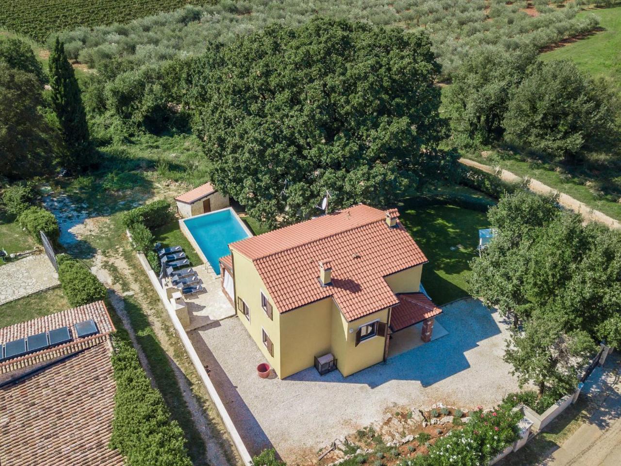 Villa Hrast Bacva Вишнян Экстерьер фото